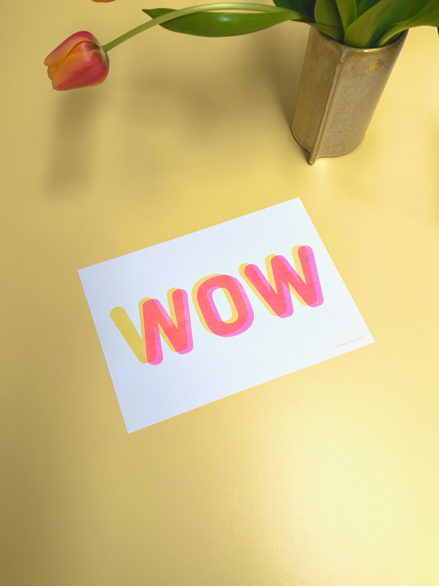 NOW WOW Plakat | Risographie